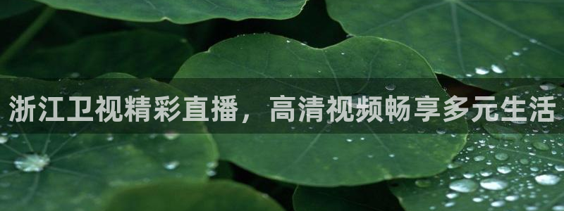 鲸鱼体育在线直播nba：浙江卫视精彩直播，高清视频畅享多元生活