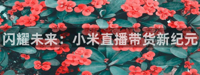 鲸鱼体育app下载安装最新版：闪耀未来：小米直播带货新纪元