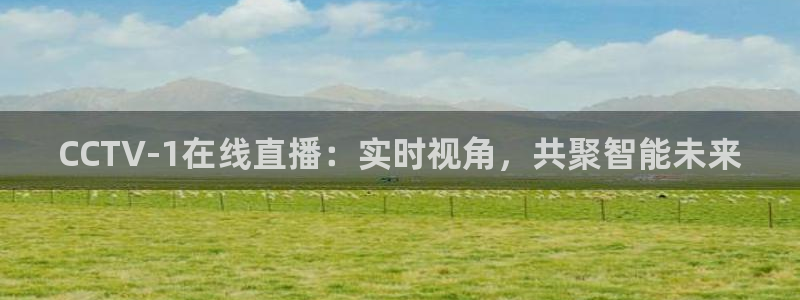 鲸鱼体育app官方下载最新版：CCTV-1在线直播：实时视角，共聚智能未来
