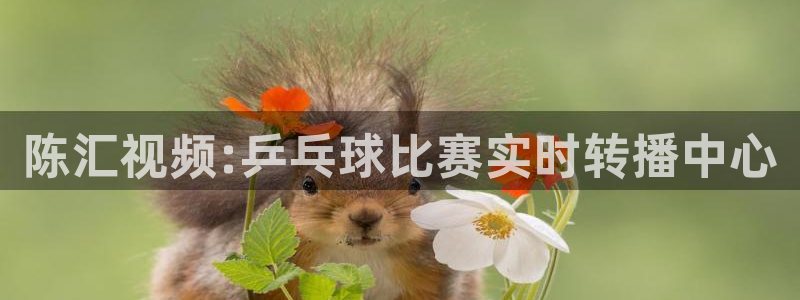 鲸鱼体育tv送红红单v3.红单足球.top：陈汇视频:乒乓球比赛实时转播中心