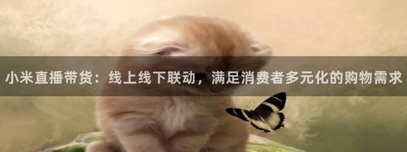 鲸鱼体育app免费下载：小米直播带货：线上线下联动，满足消费者多元化的购物需求