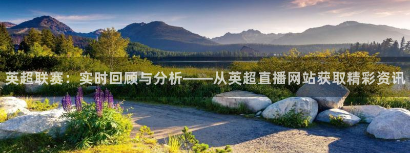 鲸鱼tv：英超联赛：实时回顾与分析——从英超直播网站获取精彩资讯