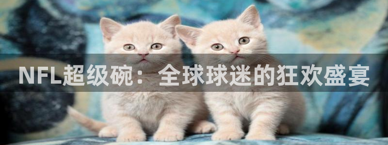 鲸鱼体育app官方入口：NFL超级碗：全球球迷的狂欢盛宴