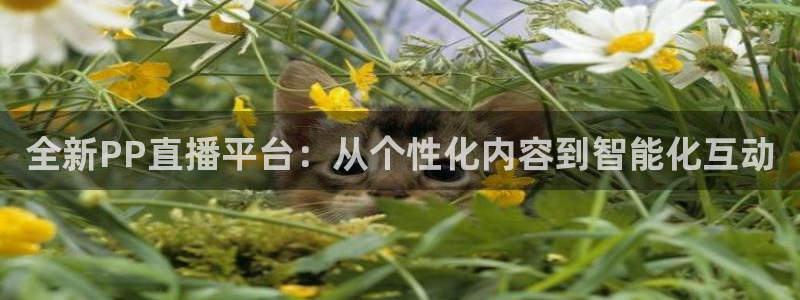 鲸鱼体育app免费下载：全新PP直播平台：从个性化内容到智能化互动
