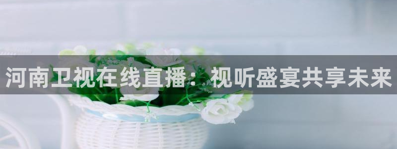 鲸鱼体育直播下载最新版：河南卫视在线直播：视听盛宴共享未来